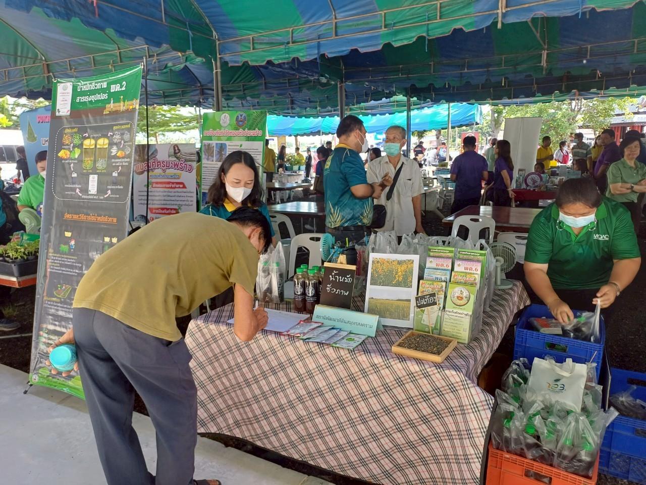 ภาพประกอบที่ 10