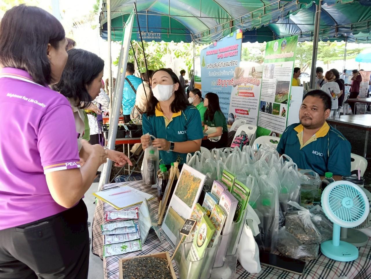 ภาพประกอบที่ 13