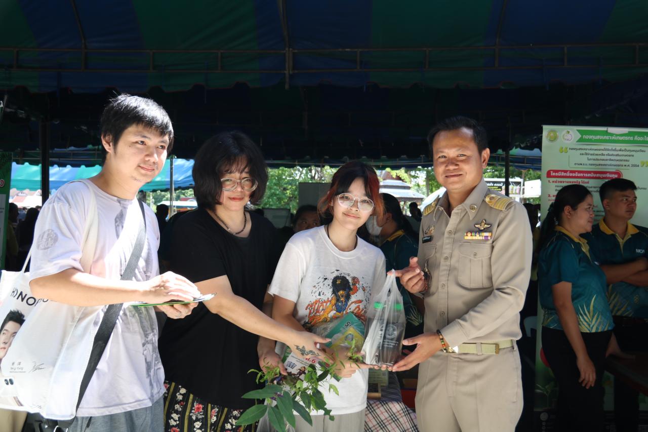 ภาพประกอบที่ 3