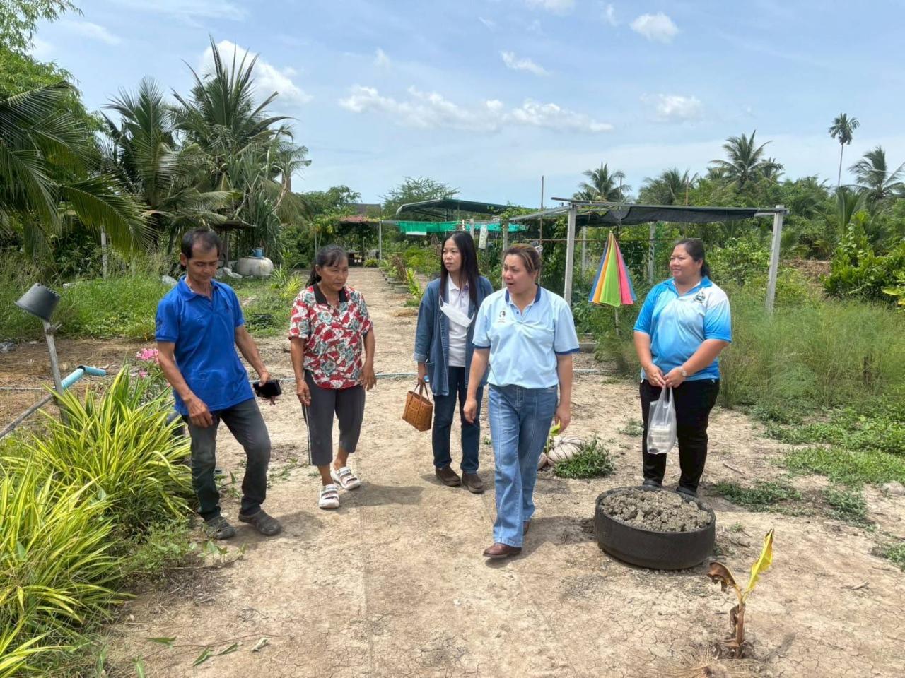 ภาพประกอบที่ 0