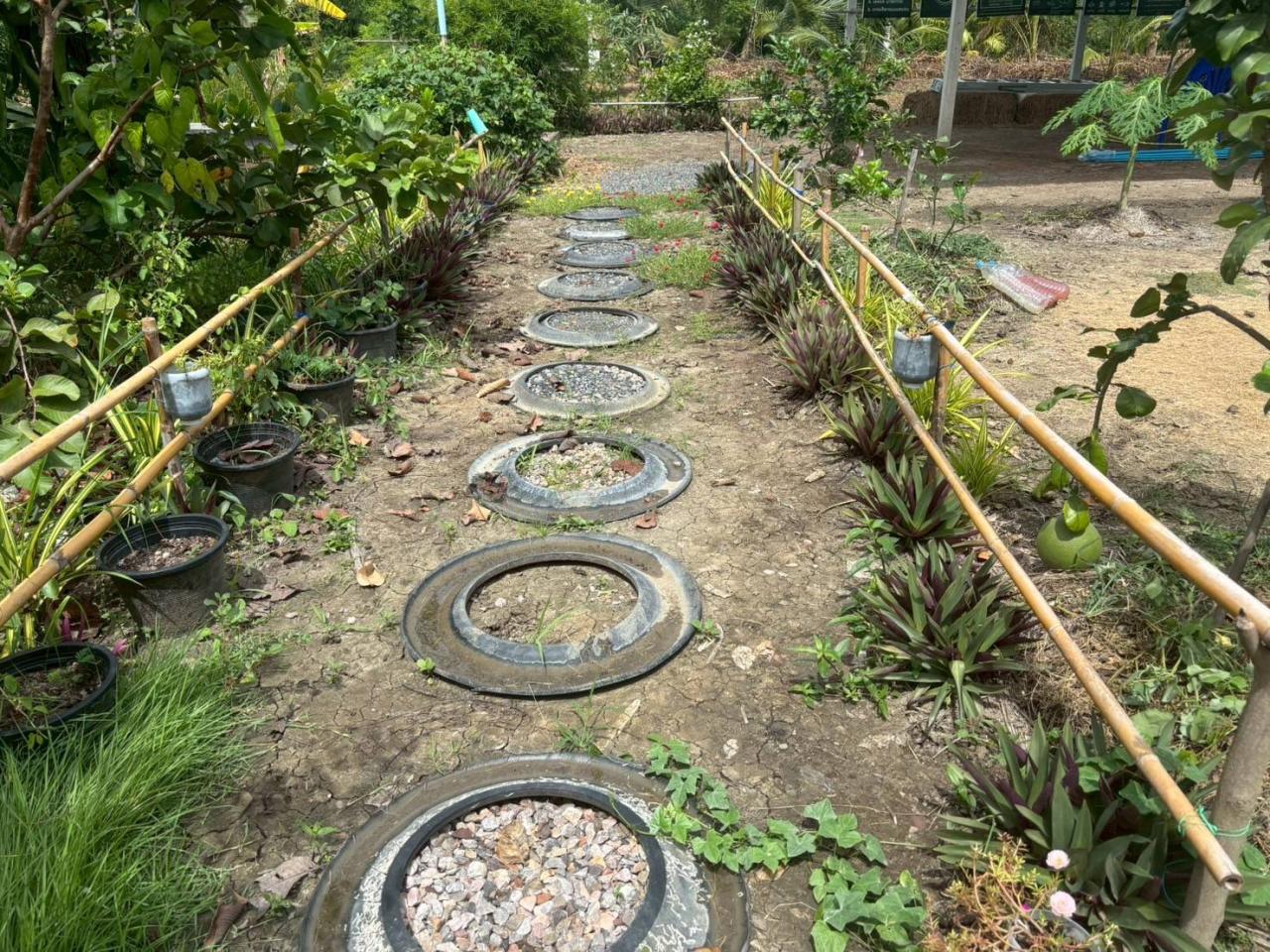 ภาพประกอบที่ 6