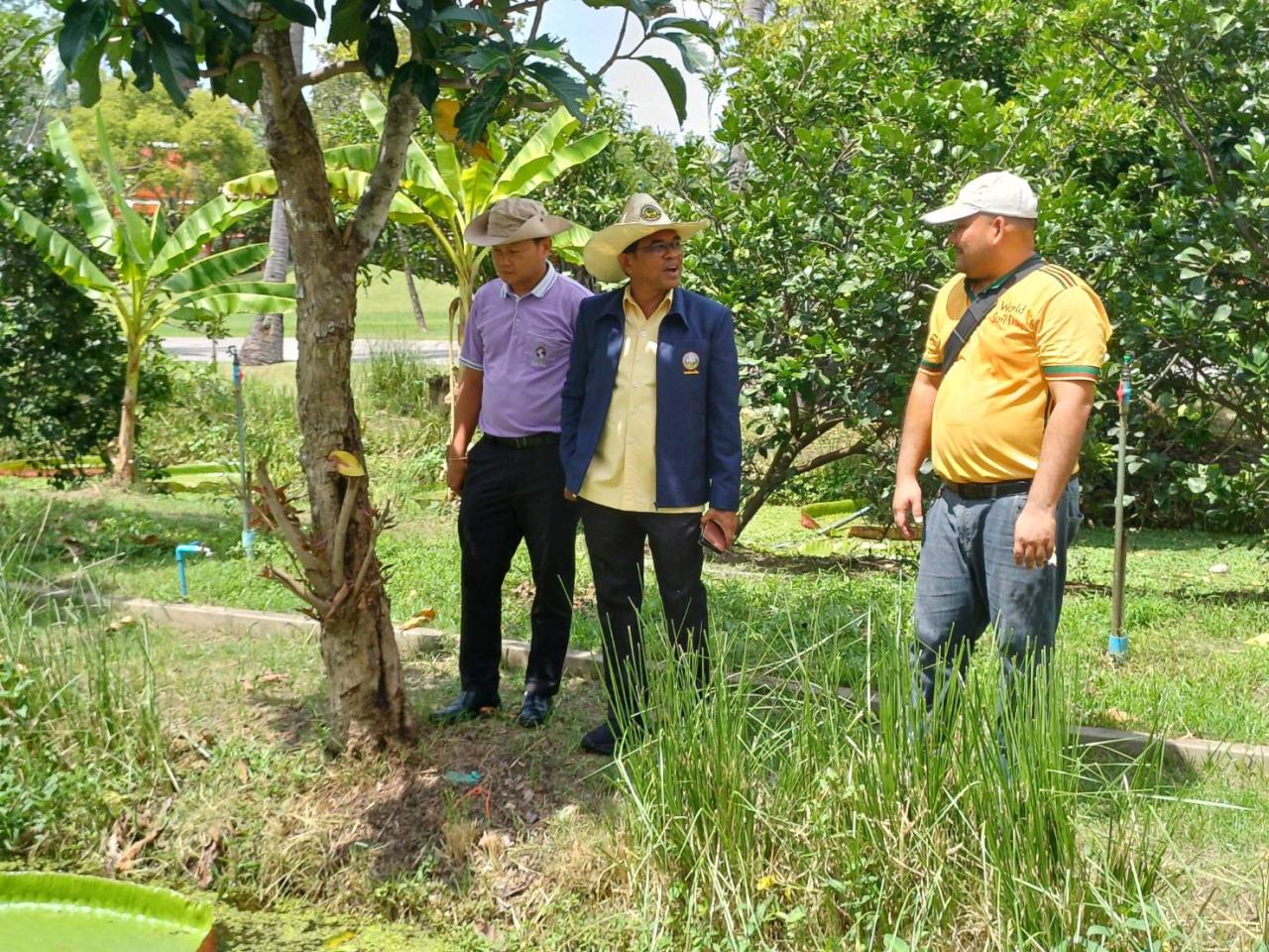ภาพประกอบที่ 0