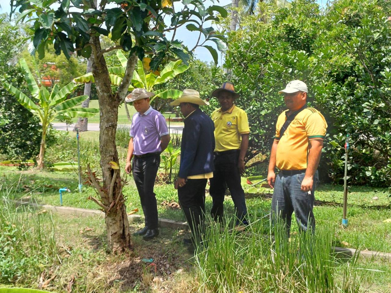 ภาพประกอบที่ 1