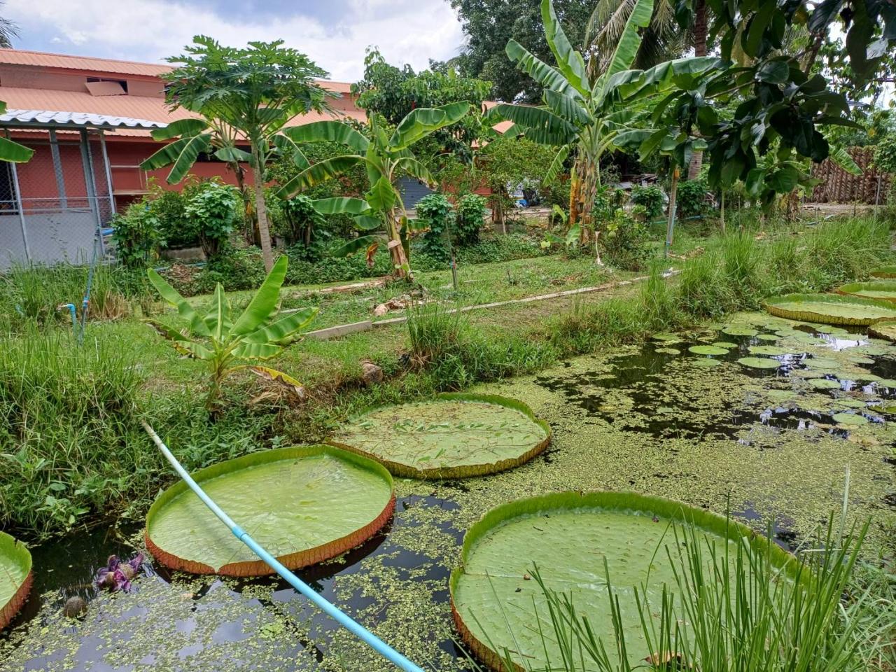 ภาพประกอบที่ 3