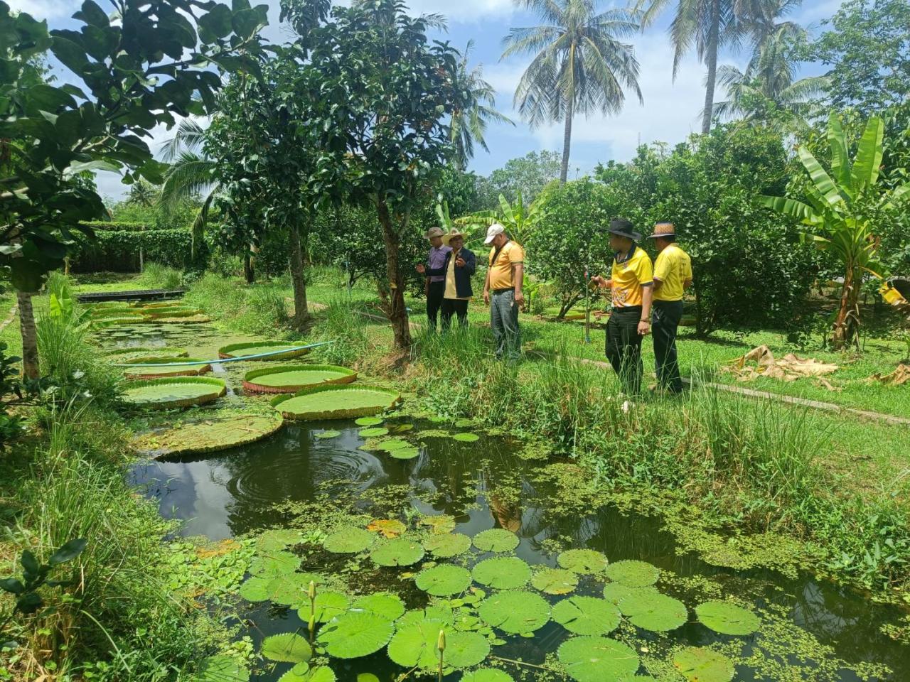 ภาพประกอบที่ 6
