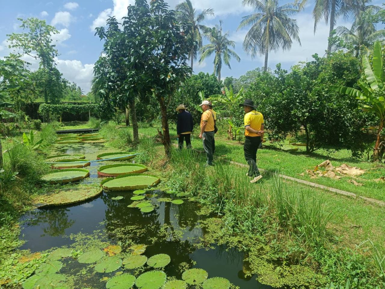 ภาพประกอบที่ 7