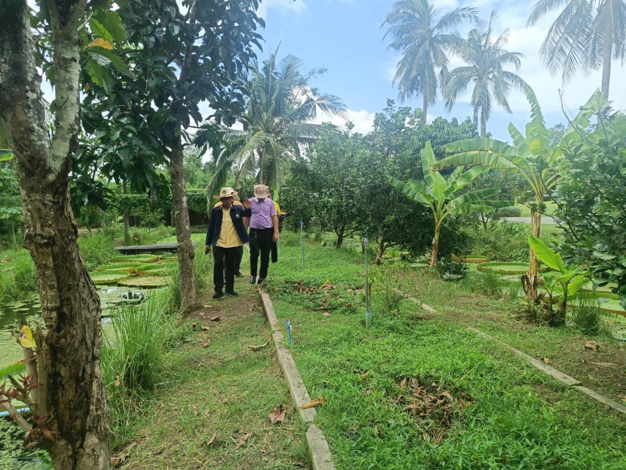 ภาพประกอบที่ 8