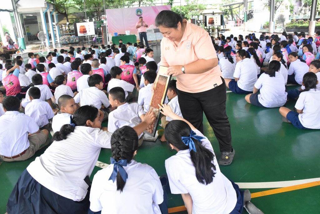 ภาพประกอบที่ 12