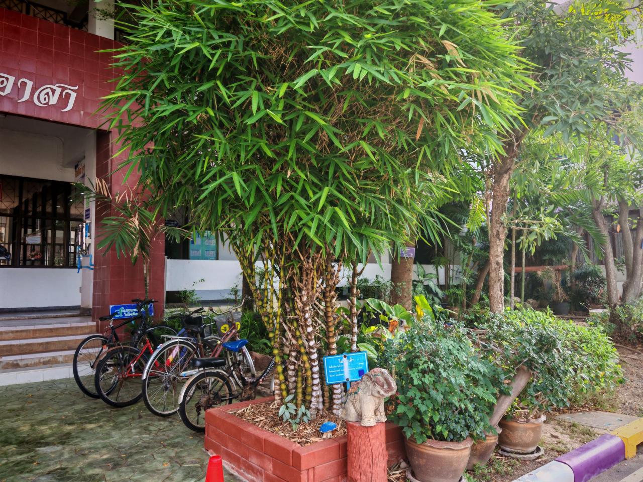 ภาพประกอบที่ 9