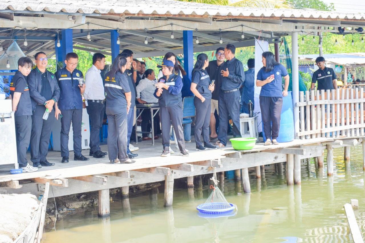 ภาพประกอบที่ 16