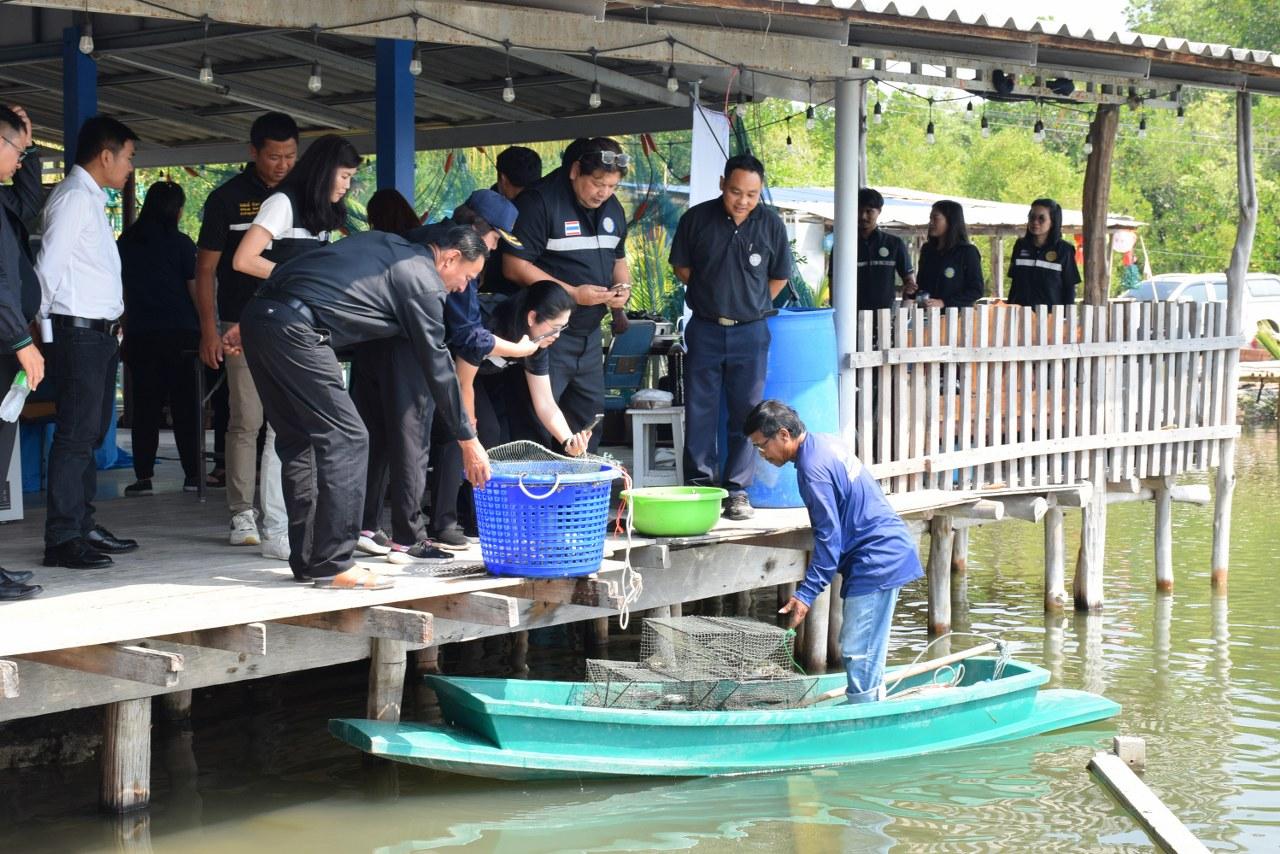 ภาพประกอบที่ 17