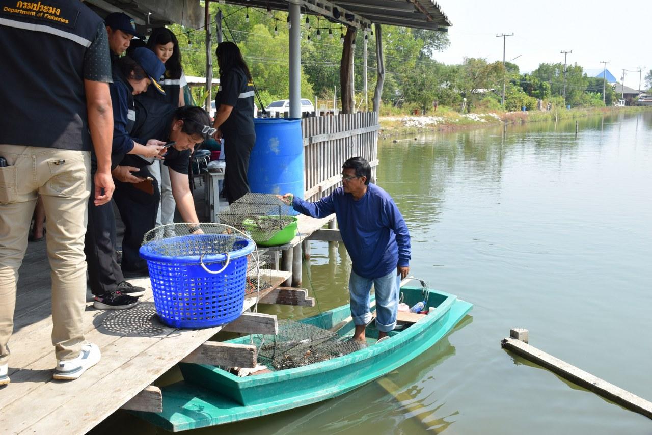 ภาพประกอบที่ 18