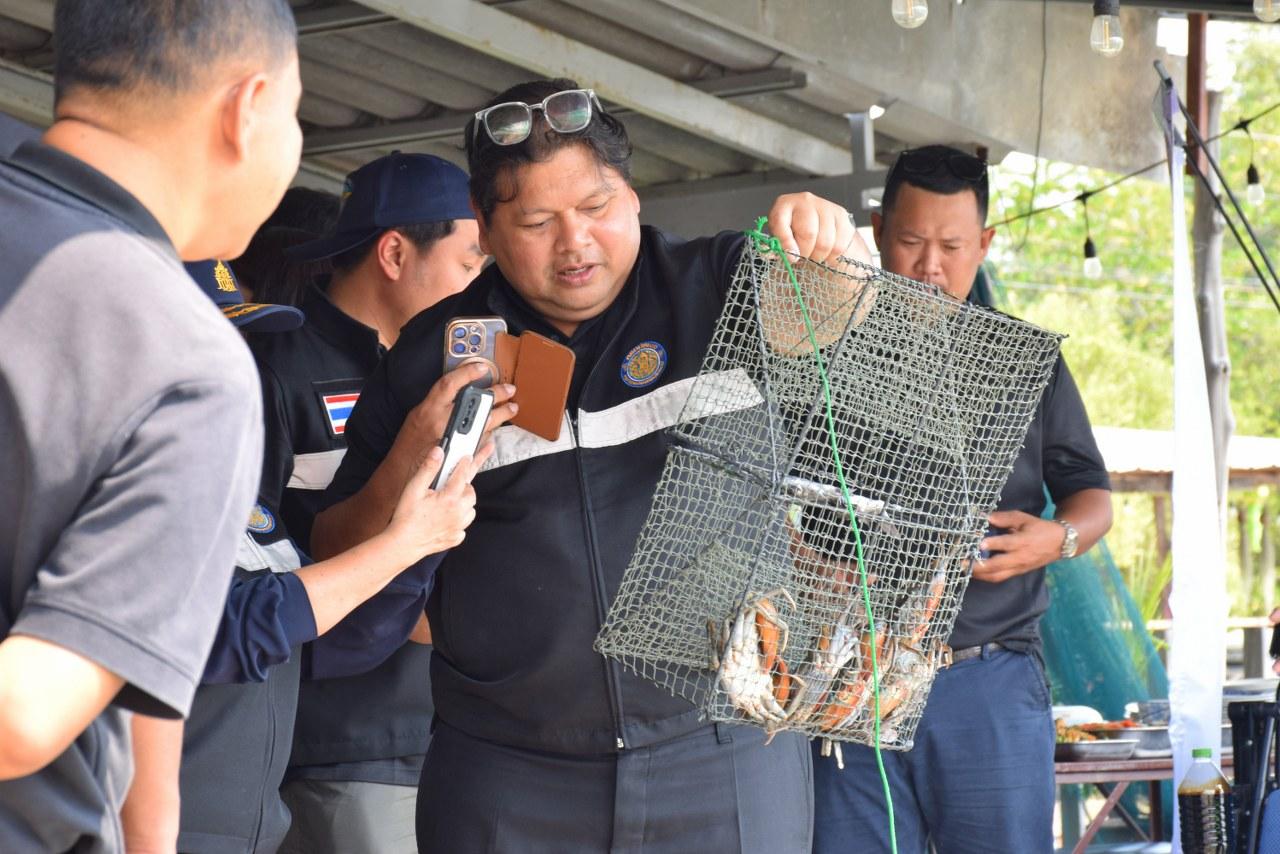ภาพประกอบที่ 19