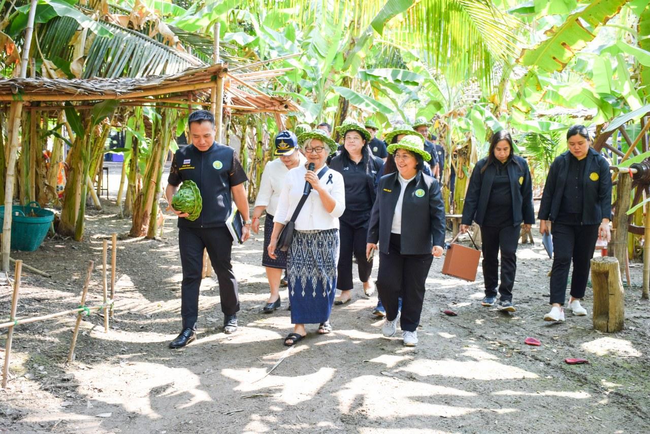 ภาพประกอบที่ 11