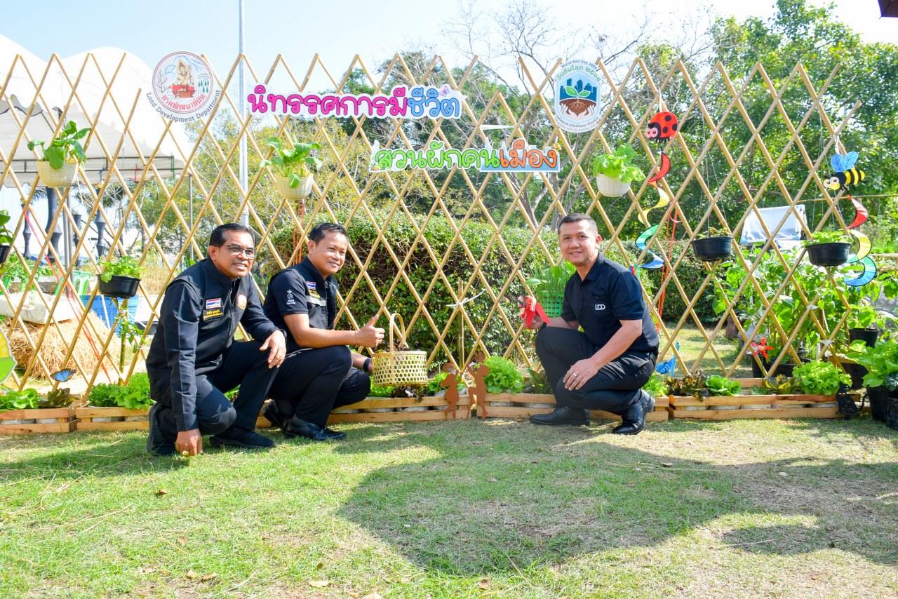 ภาพประกอบที่ 11