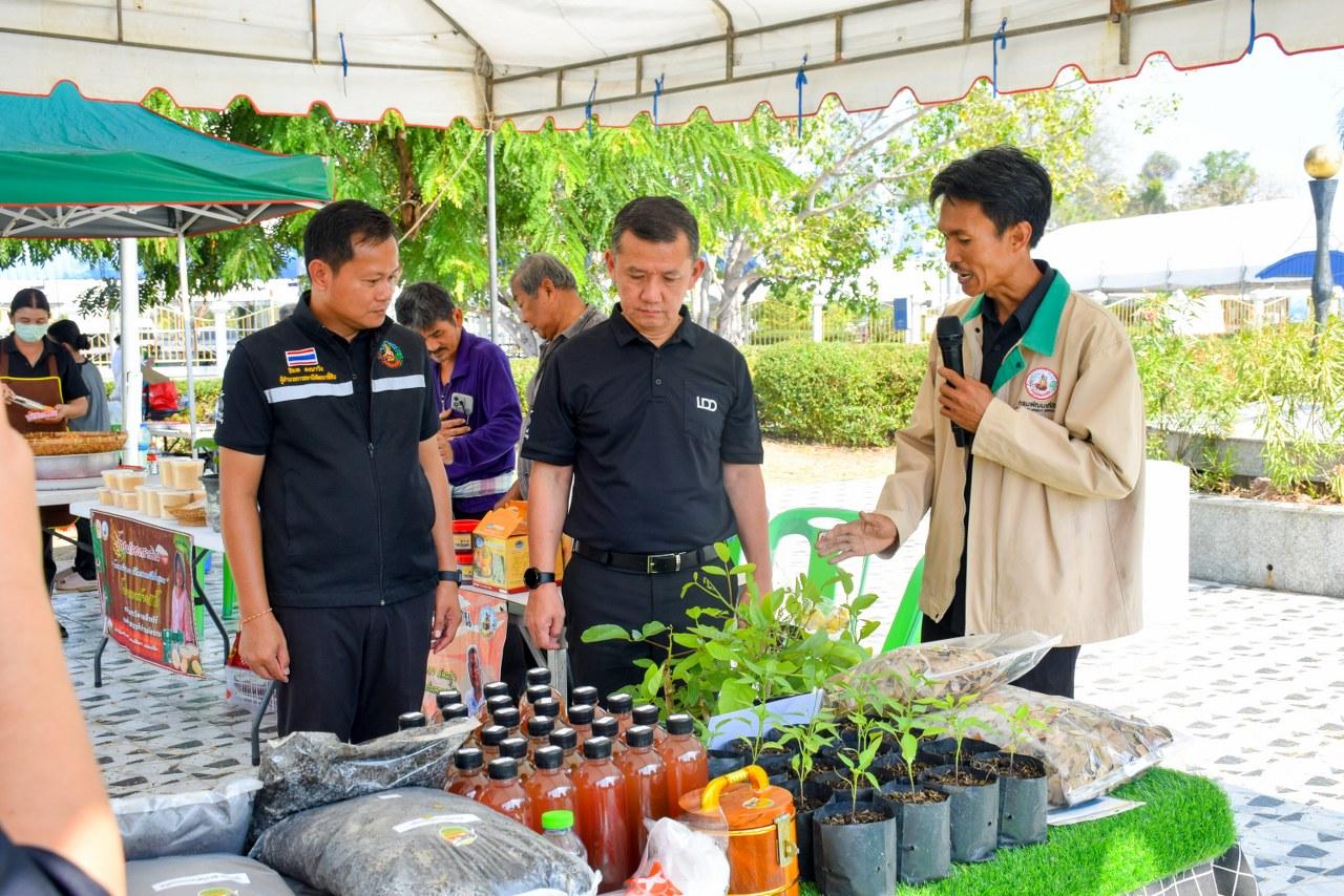 ภาพประกอบที่ 12