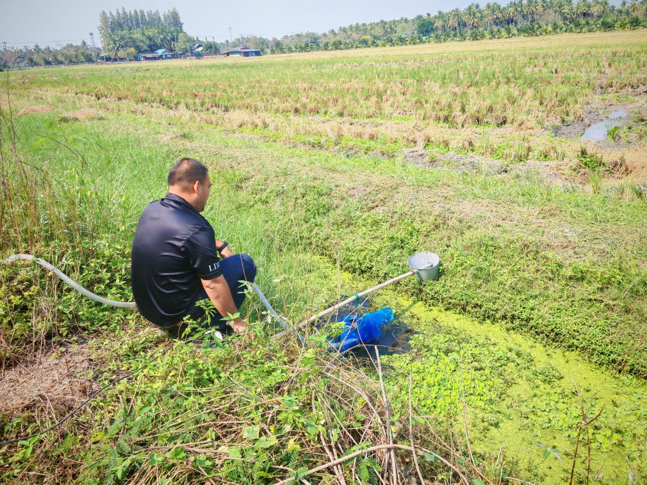 ภาพประกอบที่ 1