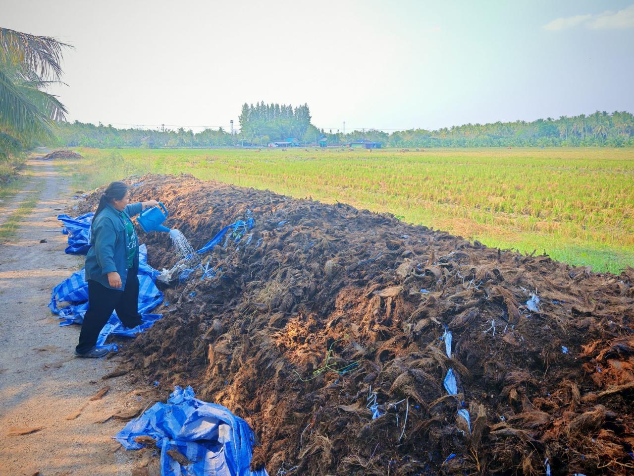 ภาพประกอบที่ 3