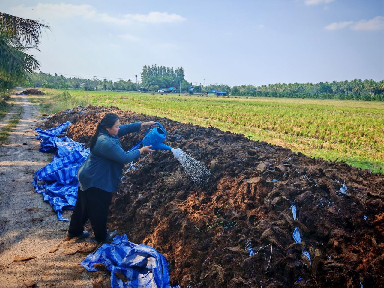 ภาพประกอบที่ 6