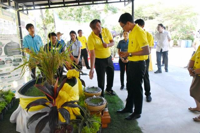 ภาพประกอบที่ 15