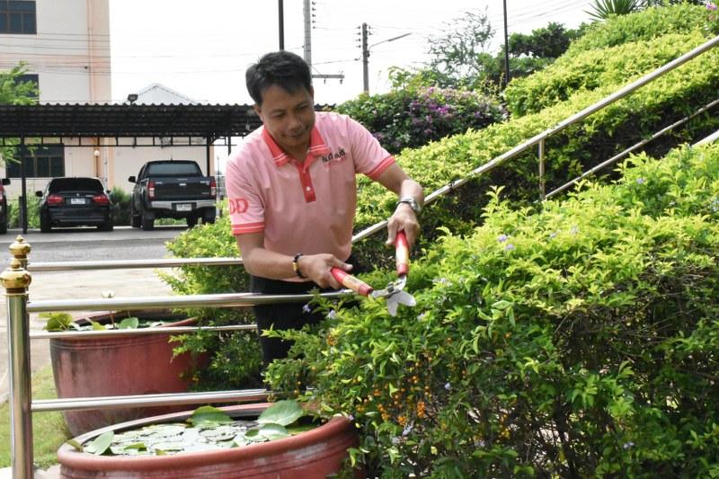 ภาพประกอบที่ 11