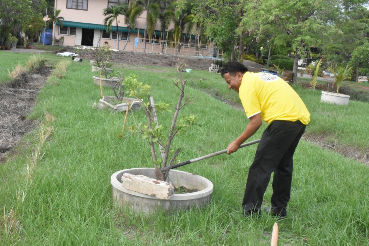 ภาพประกอบที่ 11