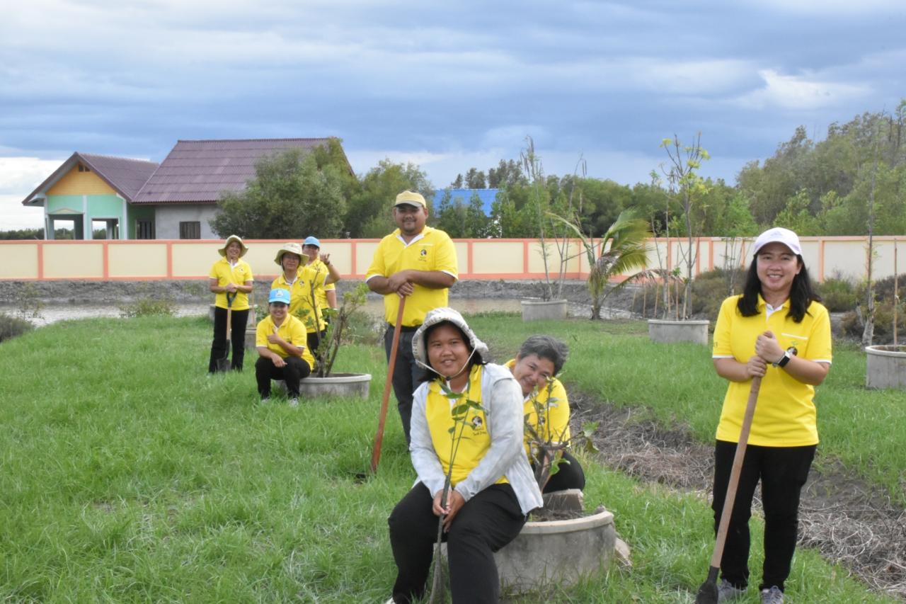 ภาพประกอบที่ 13