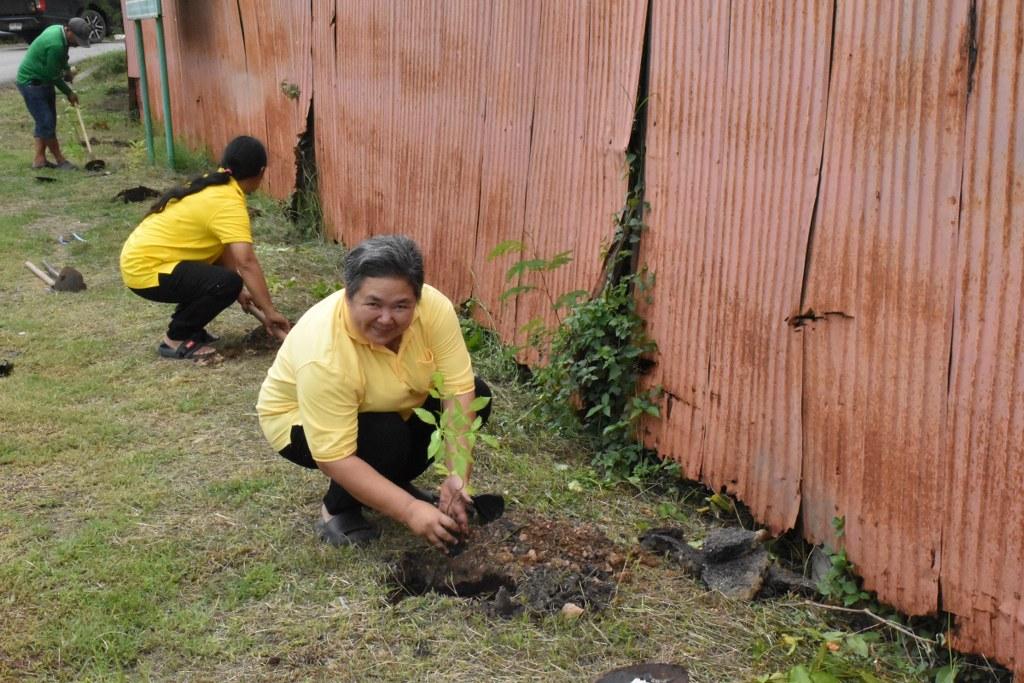 ภาพประกอบที่ 12