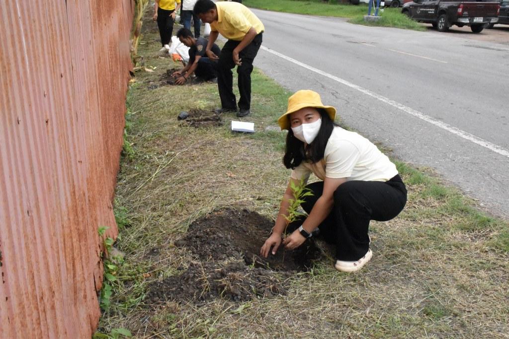 ภาพประกอบที่ 14