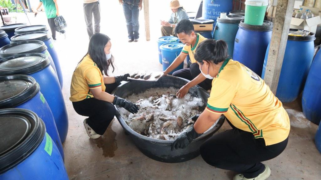 ภาพประกอบที่ 10