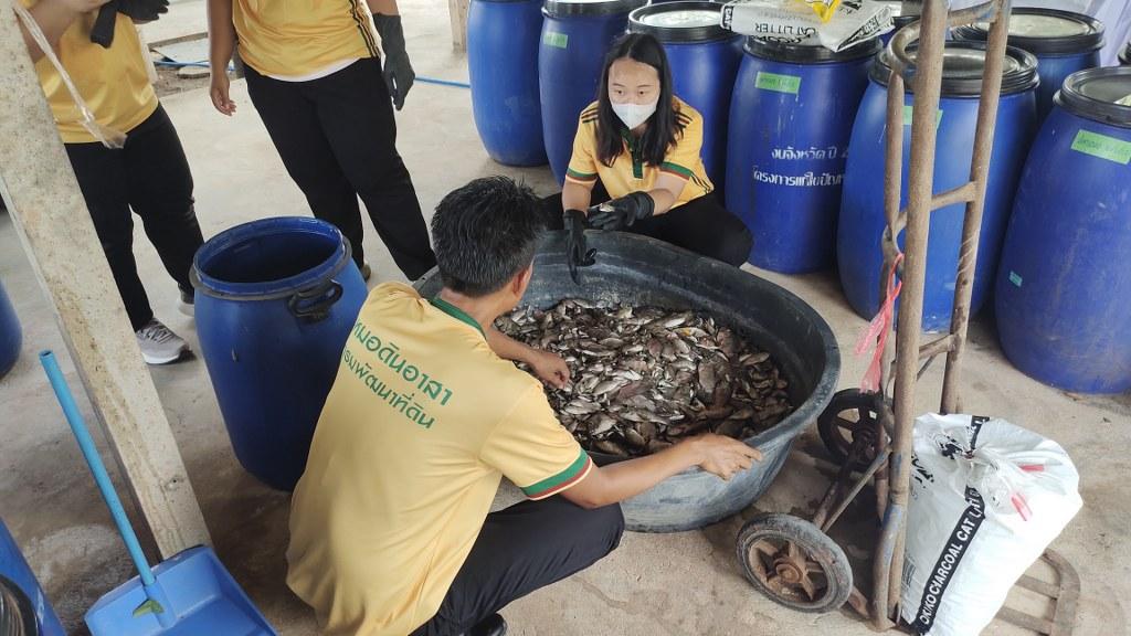 ภาพประกอบที่ 25