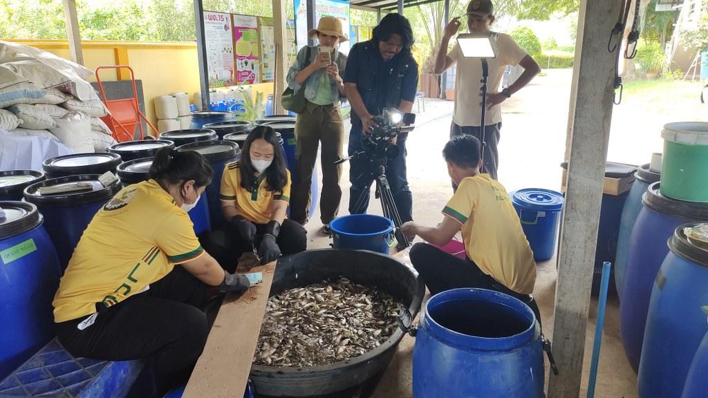 ภาพประกอบที่ 29