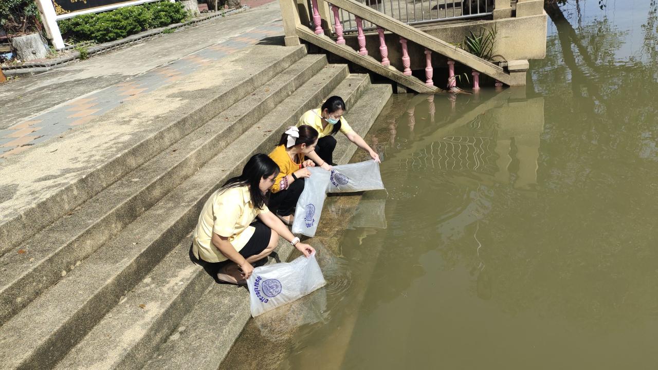 ภาพประกอบที่ 0