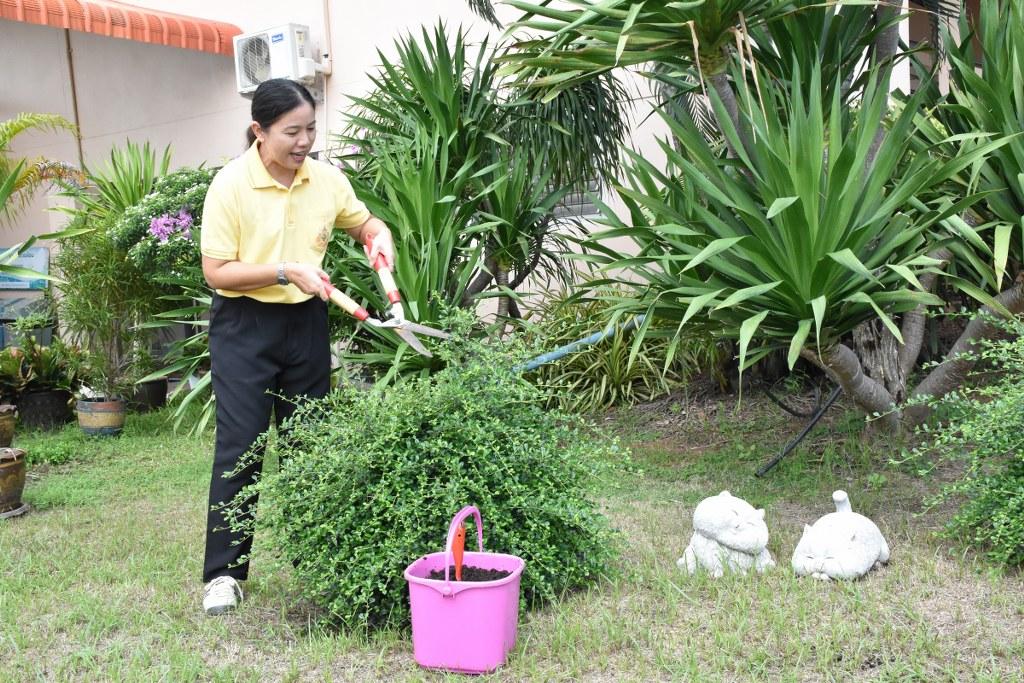 ภาพประกอบที่ 0