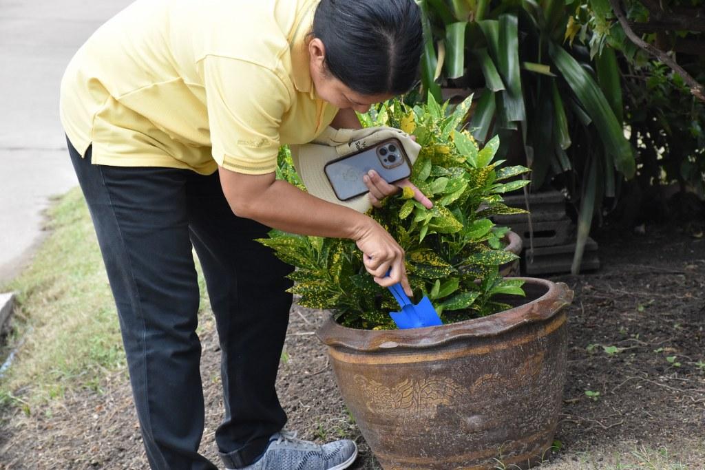 ภาพประกอบที่ 4