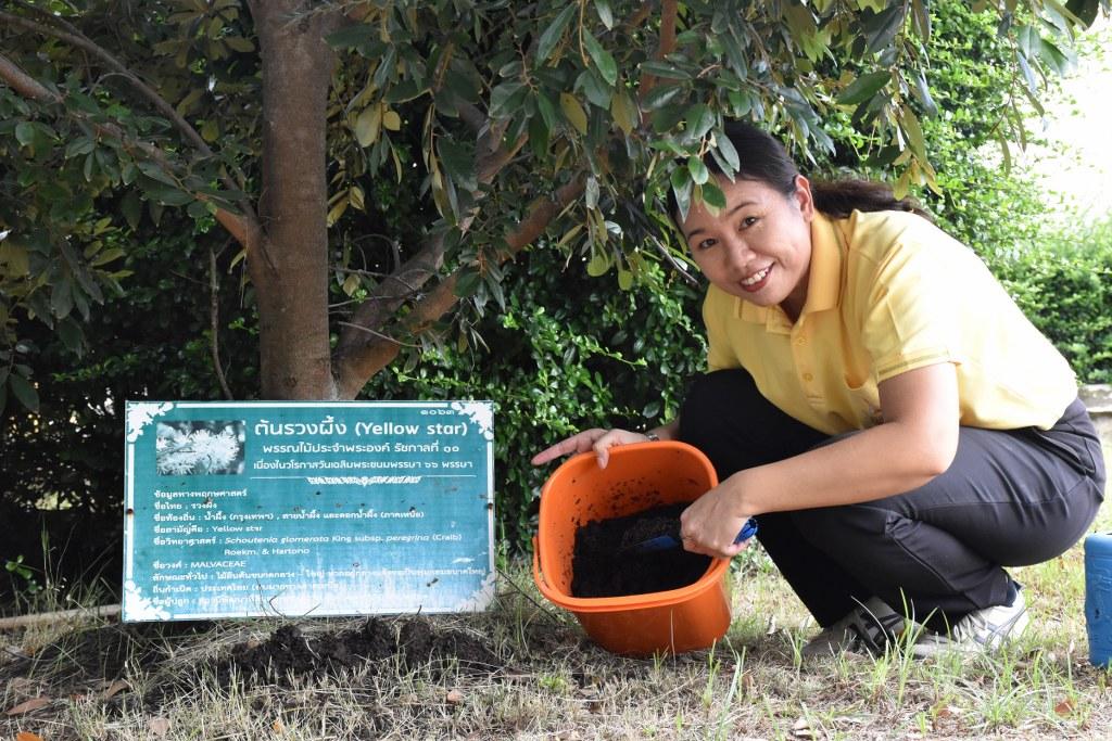 ภาพประกอบที่ 10