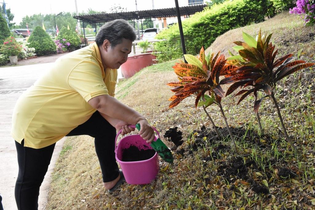 ภาพประกอบที่ 11