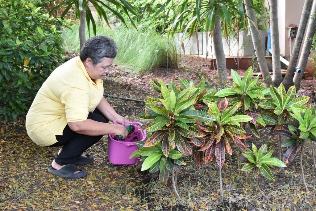 ภาพประกอบที่ 14