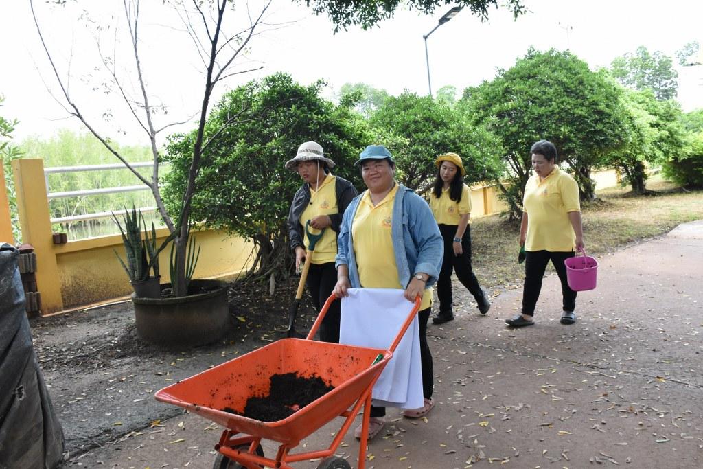 ภาพประกอบที่ 17