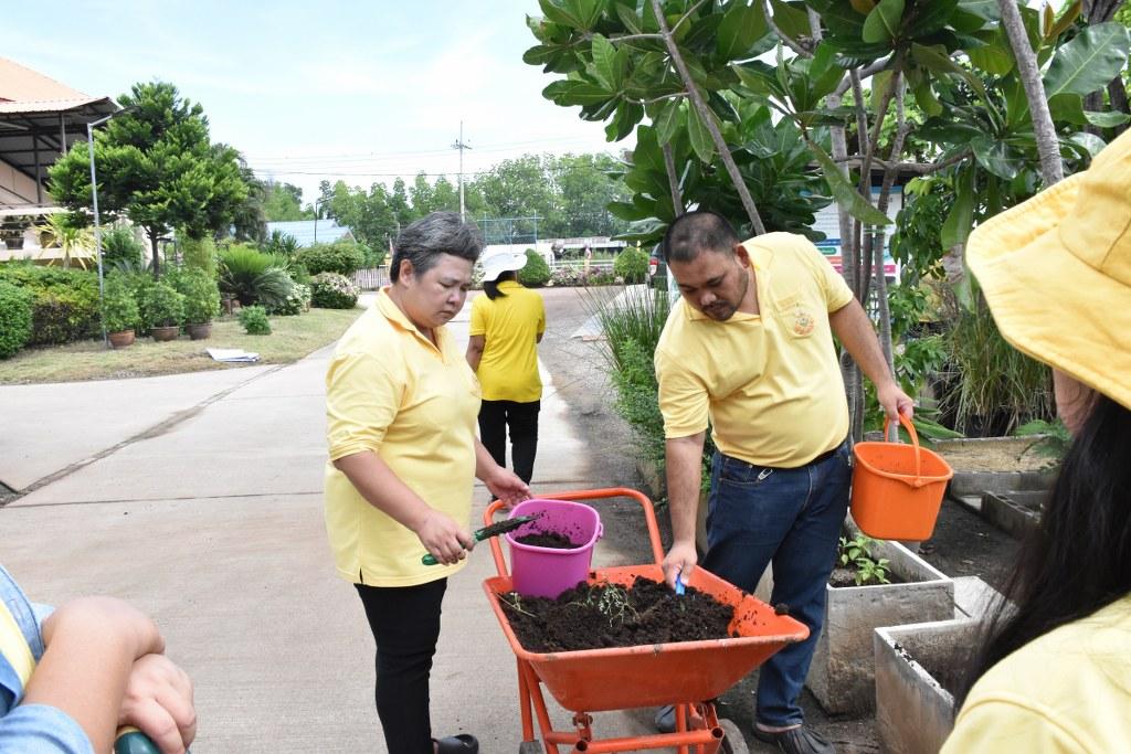 ภาพประกอบที่ 24