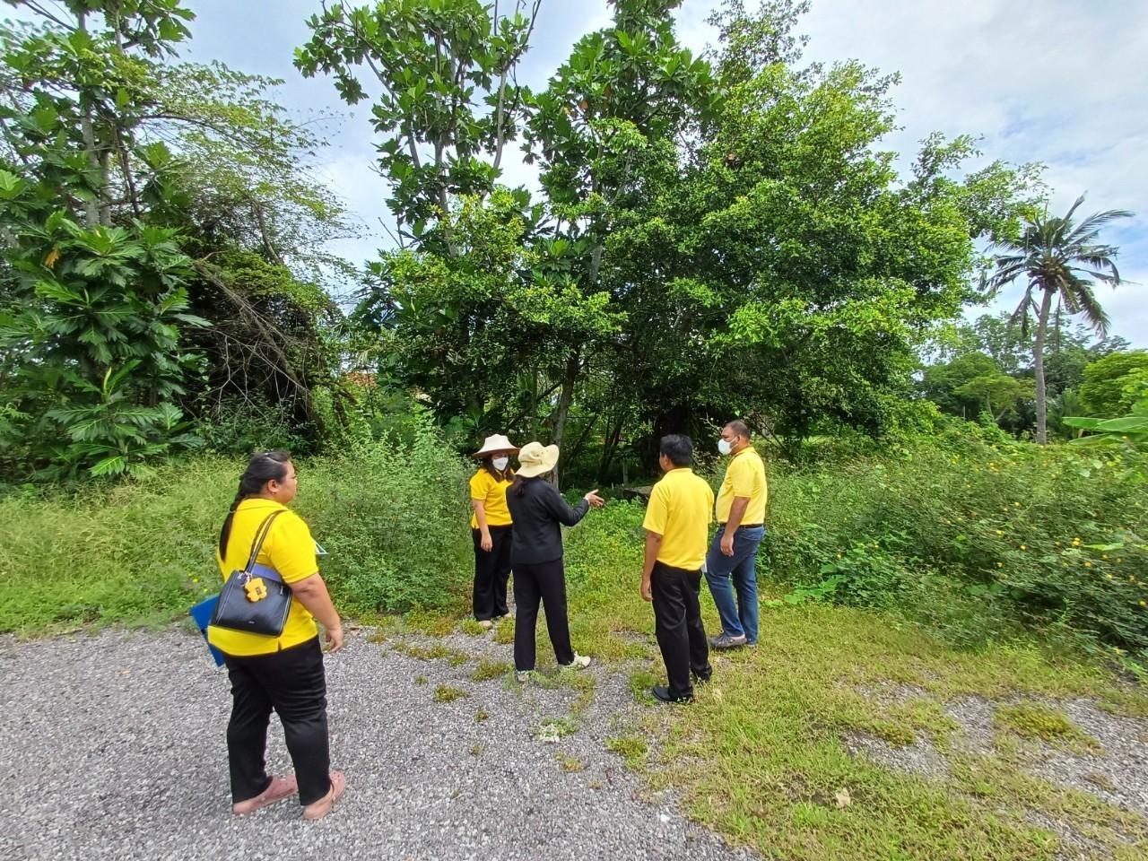 ภาพประกอบที่ 10