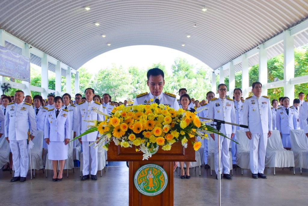 ภาพประกอบที่ 16