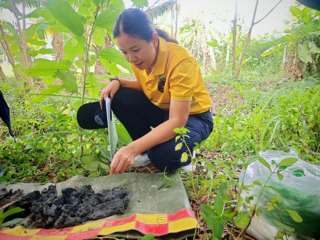 ภาพประกอบที่ 17