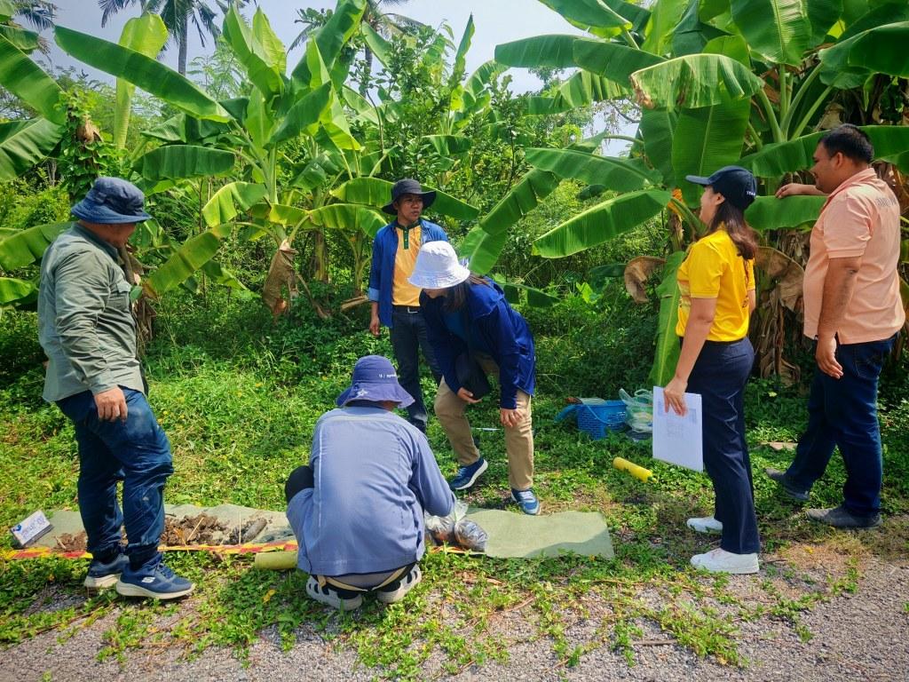 ภาพประกอบที่ 20