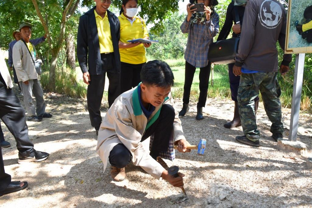 ภาพประกอบที่ 15