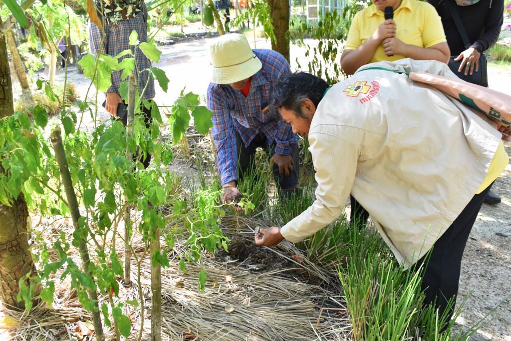 ภาพประกอบที่ 19