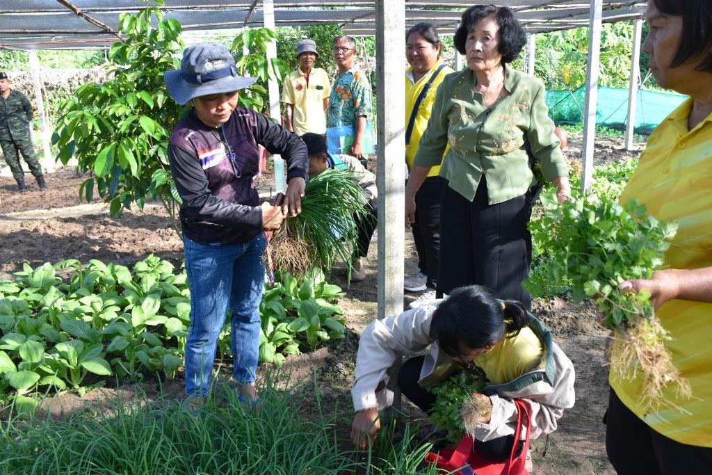 ภาพประกอบที่ 33