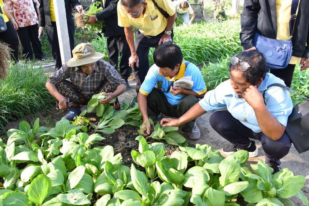 ภาพประกอบที่ 34