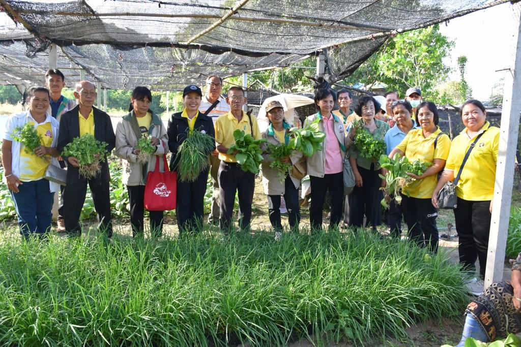 ภาพประกอบที่ 35