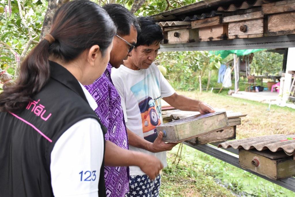 ภาพประกอบที่ 19